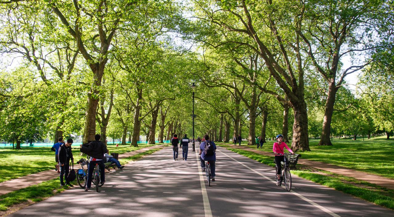 Biking in hot sale the park